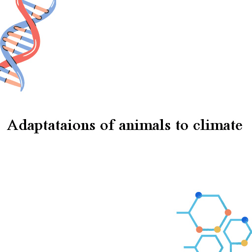 Adaptataions of animals to climate